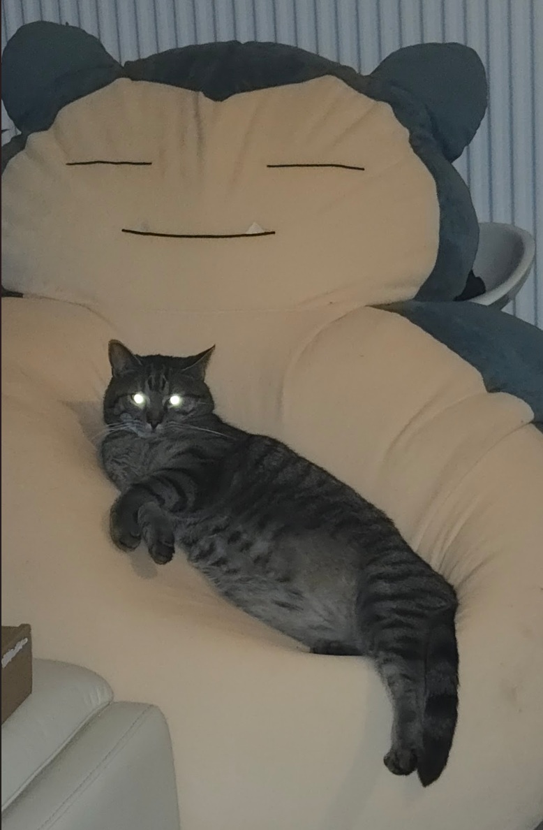 the_boss.jpg